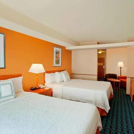 Fairfield Inn & Suites By Marriott Detroit Metro Airport Romulus-2