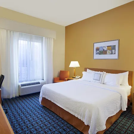 Fairfield Inn & Suites By Marriott Detroit Metro Airport Romulus-3